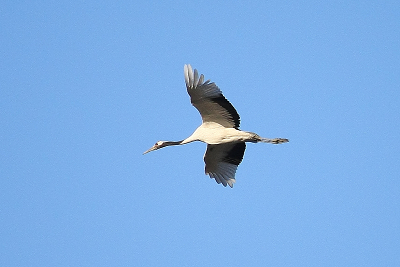 a0157046_1759514.jpg