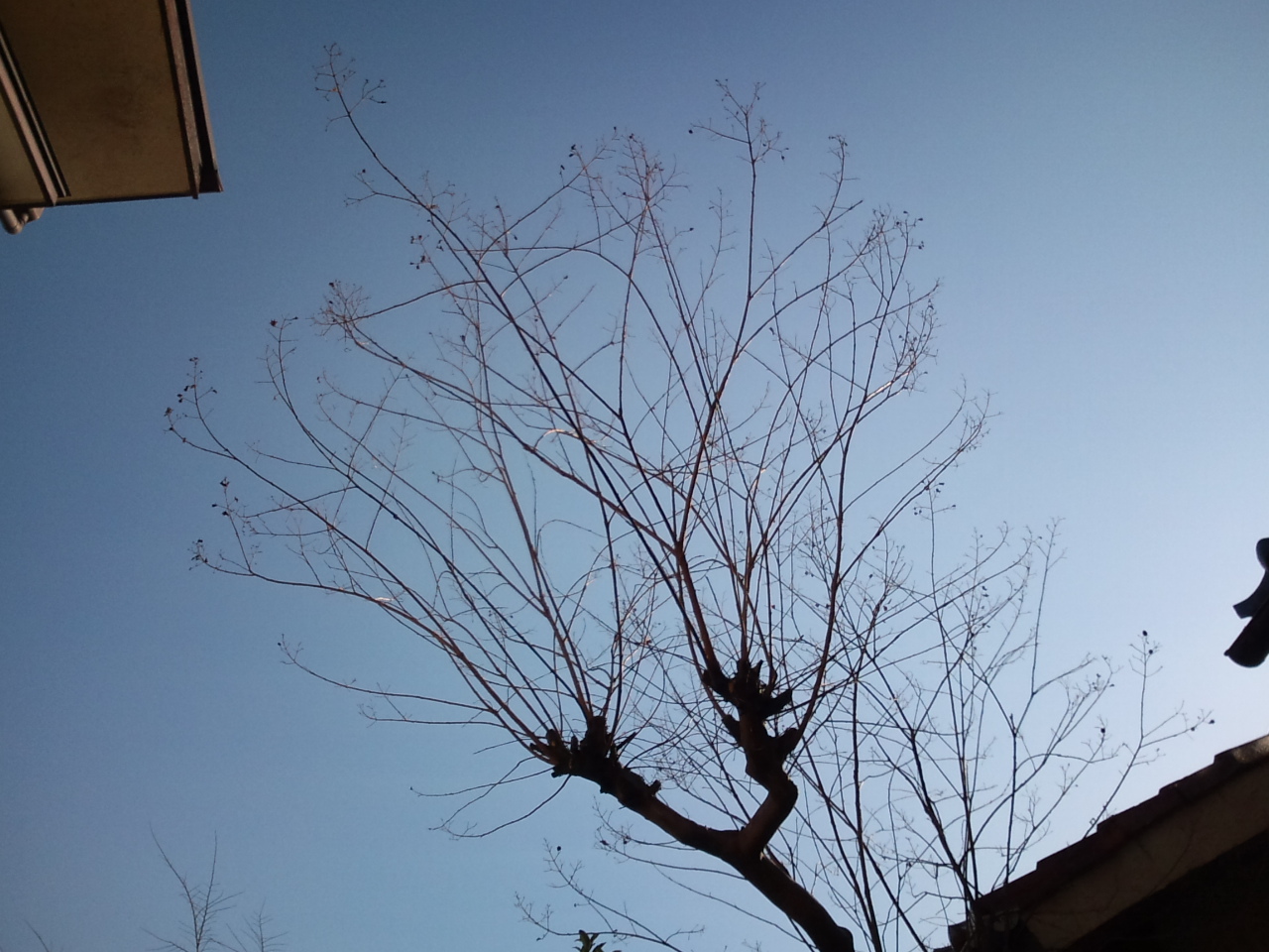 e0034047_910382.jpg