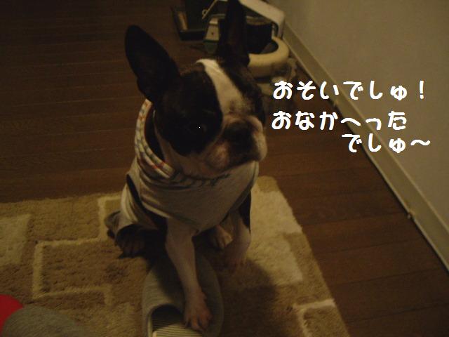 e0098547_524611.jpg