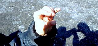 f0173150_16181674.jpg