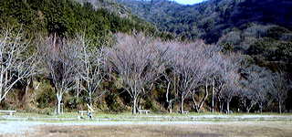 f0173150_1692937.jpg