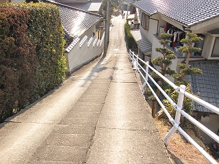 d0031853_310280.jpg