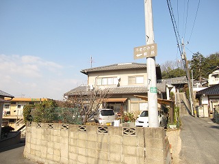 d0031853_331941.jpg