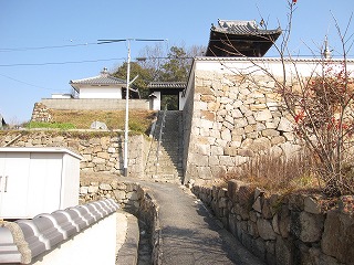 d0031853_341036.jpg
