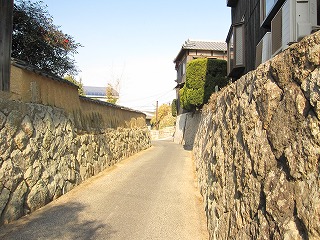 d0031853_351299.jpg