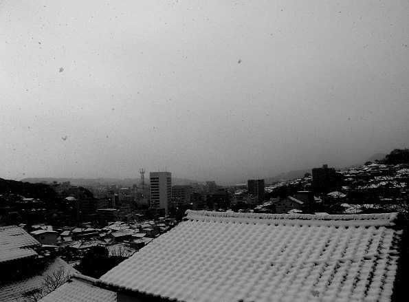 c0091055_2345473.jpg