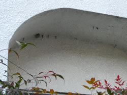 c0064859_15575342.jpg