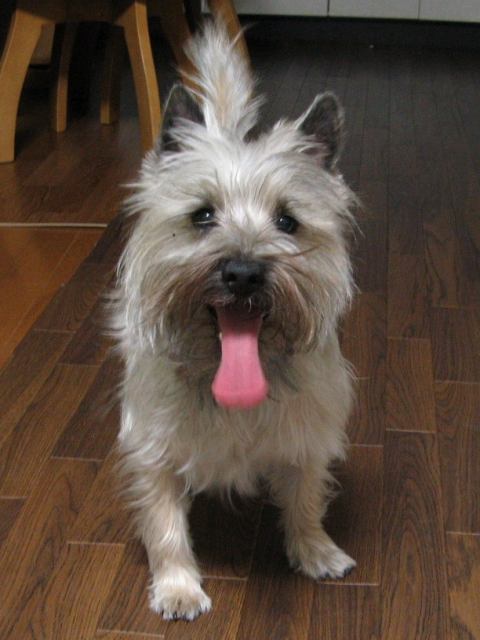 c0202659_2332221.jpg