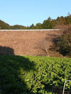f0055264_11455.jpg