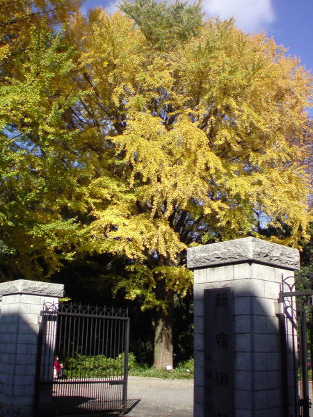 e0153367_15563493.jpg