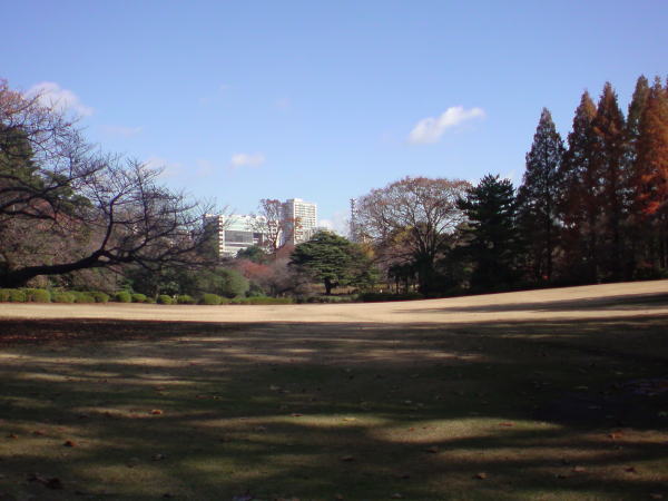 e0153367_15584773.jpg