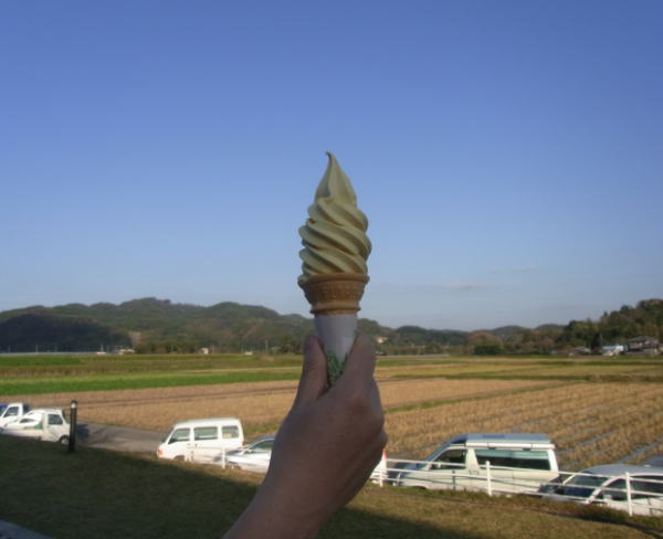 e0153367_1733867.jpg