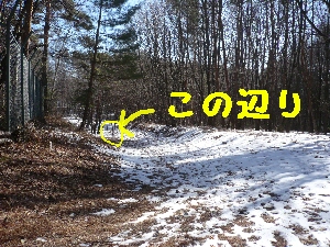 f0203369_21152472.jpg
