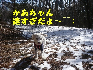 f0203369_21154861.jpg