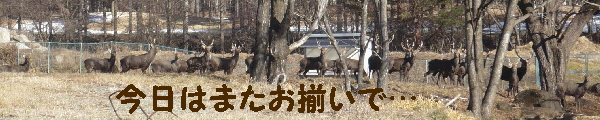 f0203369_2116204.jpg