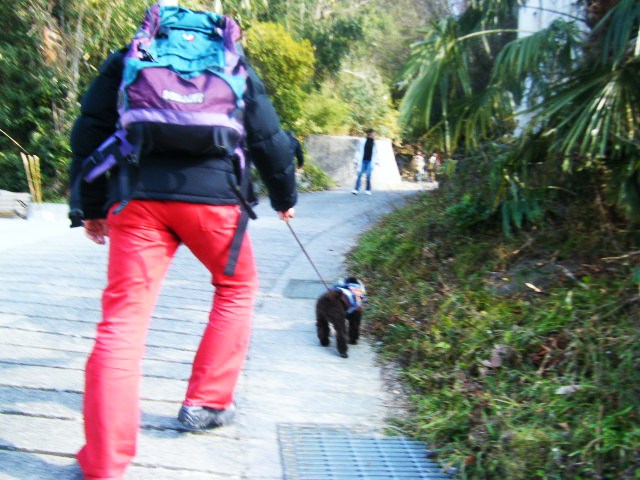 f0207970_18524970.jpg