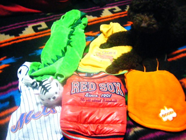 f0207970_1972631.jpg