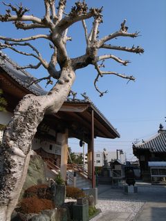 e0012580_11293553.jpg
