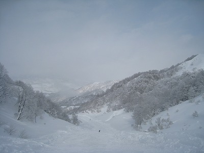 a0038882_9523516.jpg