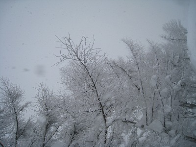 a0038882_9565155.jpg