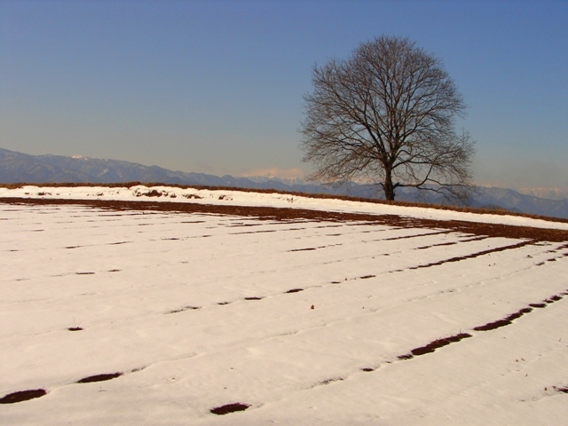 b0011185_19101564.jpg