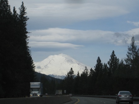 a0111486_8531776.jpg