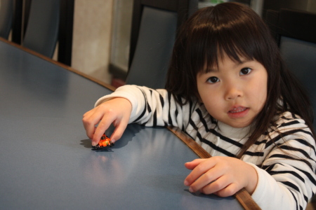 c0118387_13164577.jpg