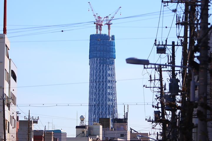 f0164989_0113468.jpg