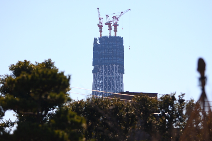 f0164989_0115932.jpg