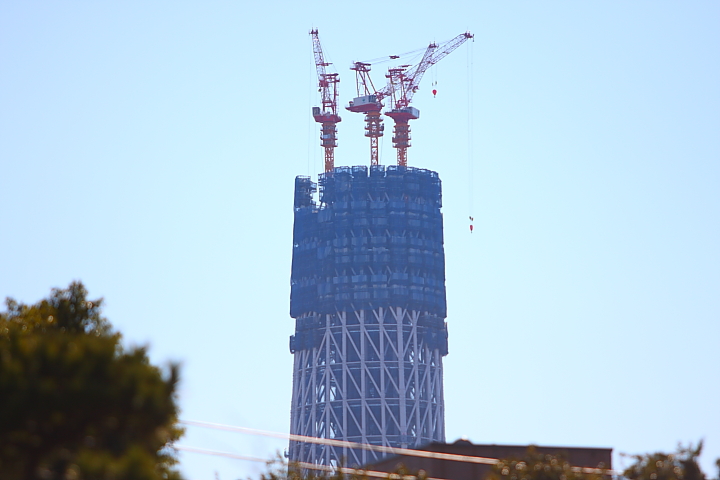 f0164989_0121649.jpg