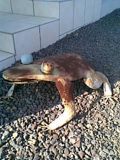 e0185090_122726.jpg