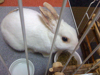 f0201191_21165157.jpg