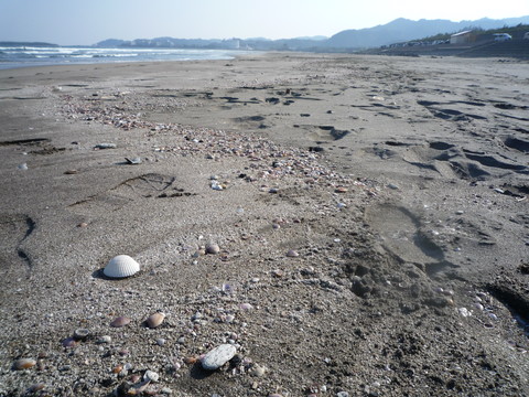 a0133493_11422516.jpg