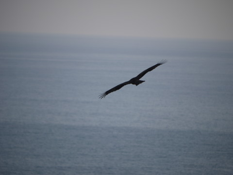 a0133493_1142384.jpg