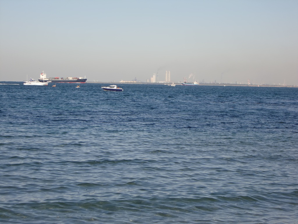 b0029694_1434132.jpg