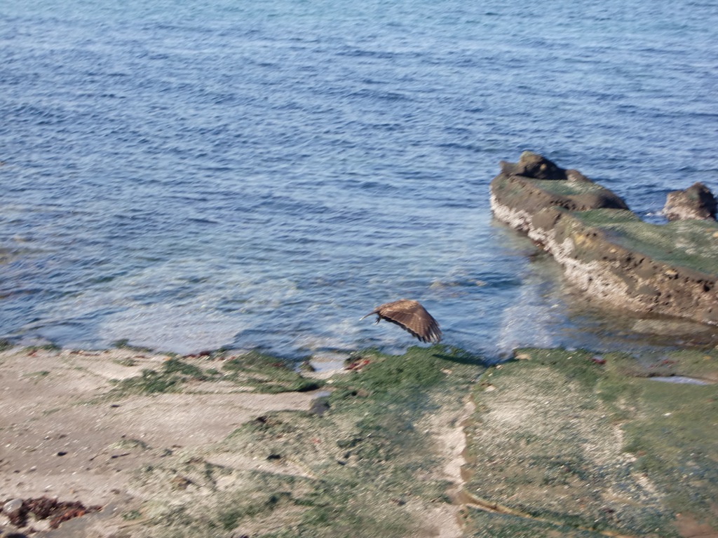 b0029694_146779.jpg