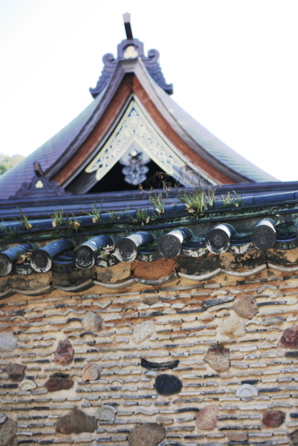 c0129498_16264196.jpg
