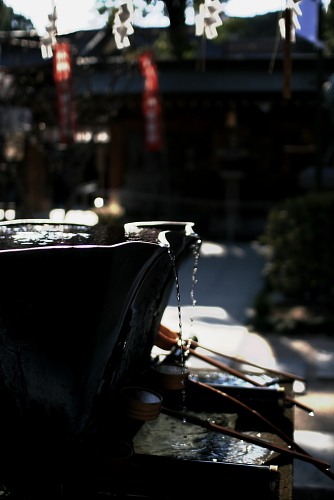 c0129498_1626529.jpg