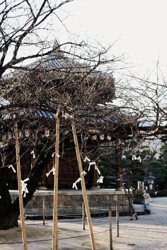 c0129498_16273464.jpg