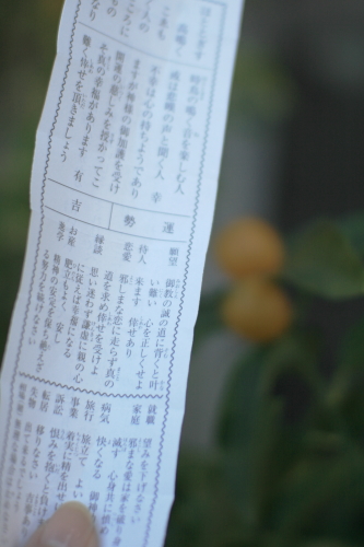 c0129498_2343329.jpg