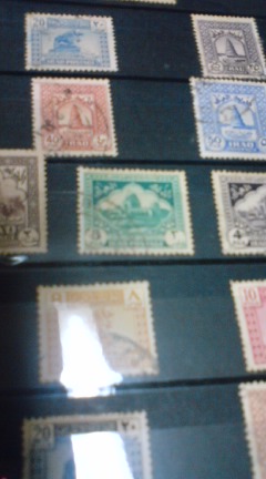 c0202101_1085350.jpg