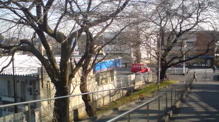 c0202101_8225569.jpg