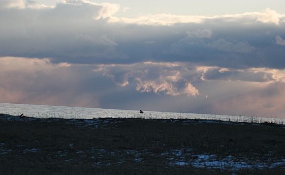 c0155902_19115280.jpg