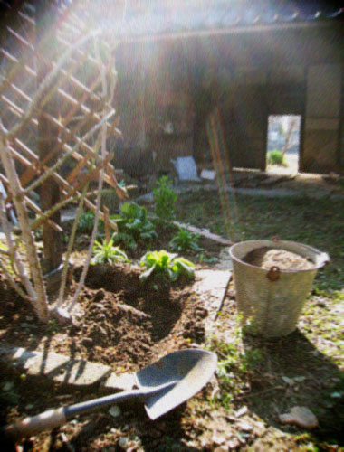 d0077603_21163236.jpg