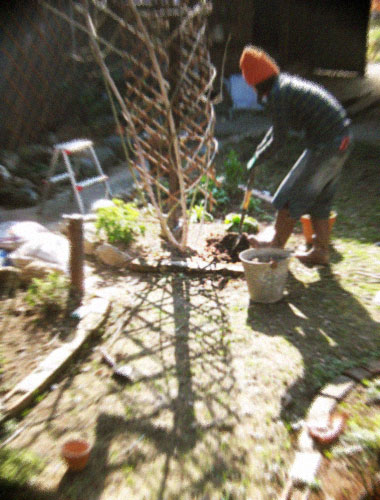 d0077603_212227100.jpg