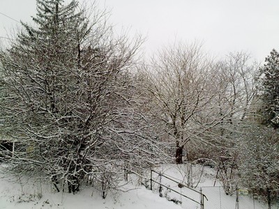 f0021504_2265396.jpg