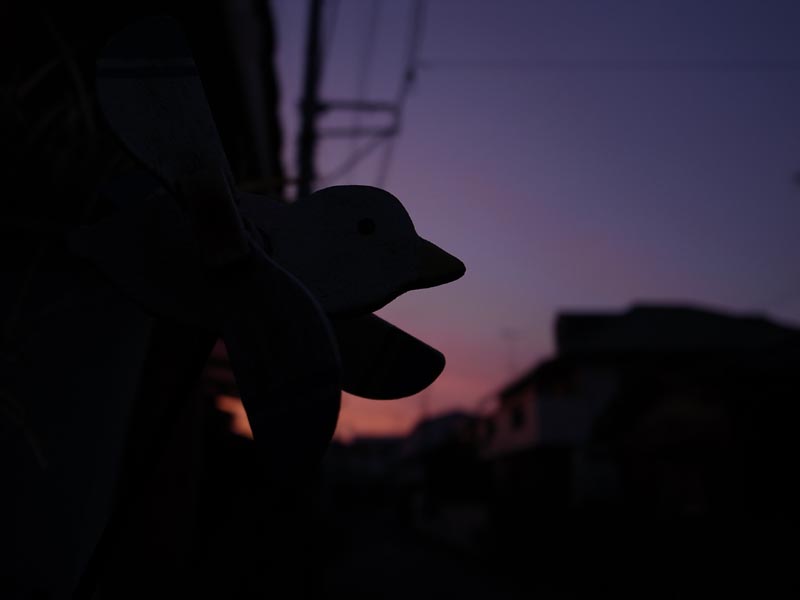 b0186505_21231418.jpg