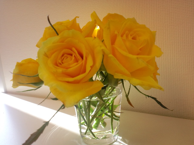 a0088007_23243456.jpg