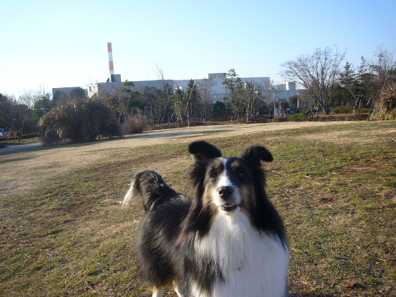 e0130008_18485193.jpg