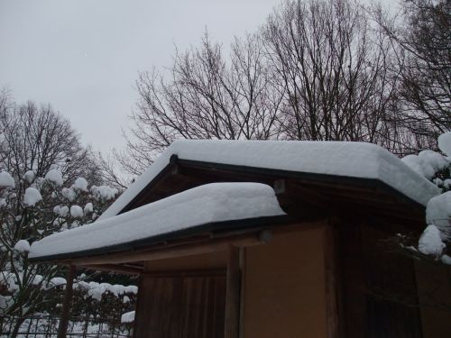 e0116315_09084.jpg